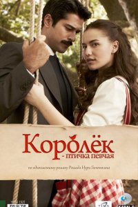 Королек – птичка певчая (2013 - 2014)